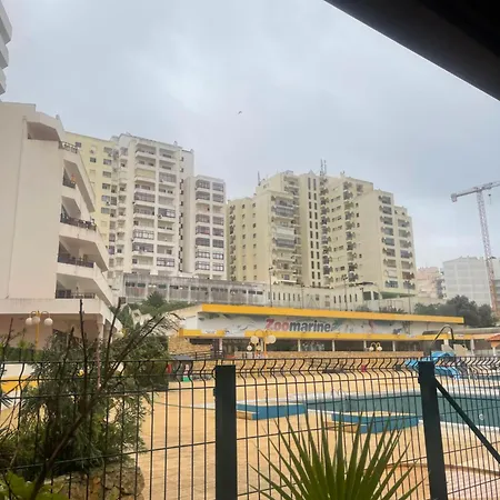 Maria Do Ceu Portimão